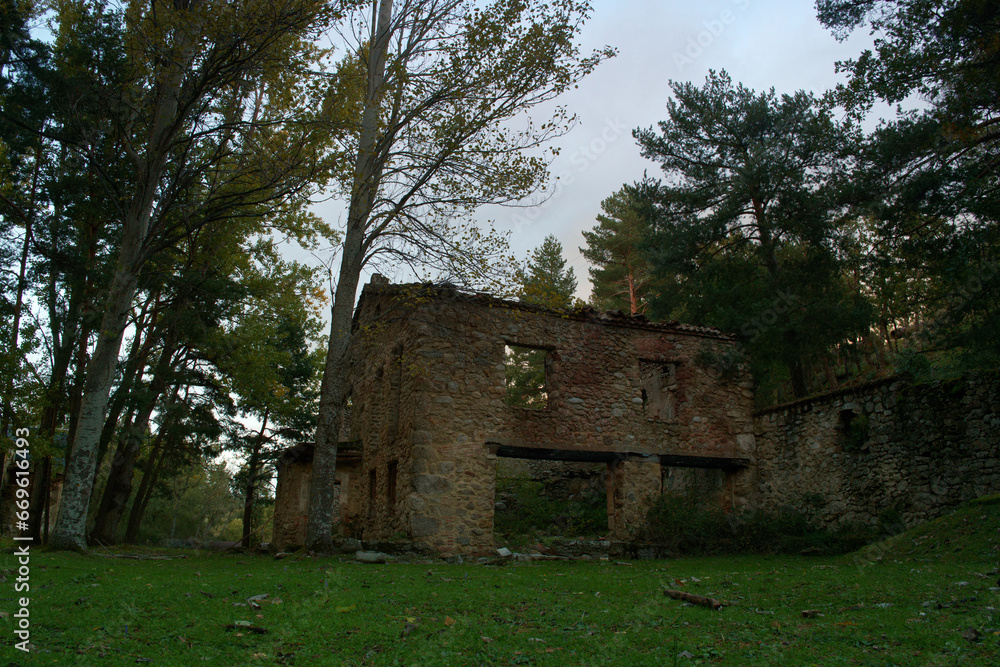ruina, dom, budynek, opuszczony, krajobraz, las, dom, architektura, porzucić, na zewnątrz, natura, drzewo, stary, drewno, drewniany, trawa, naturalny, zielony, ruina, dom, budynek, opuszczony, krajobraz, las, dom, architektura, porzucić, na zewnątrz, natura, drzewo, stary, drewno, drewniany, trawa, naturalny, zielony,
