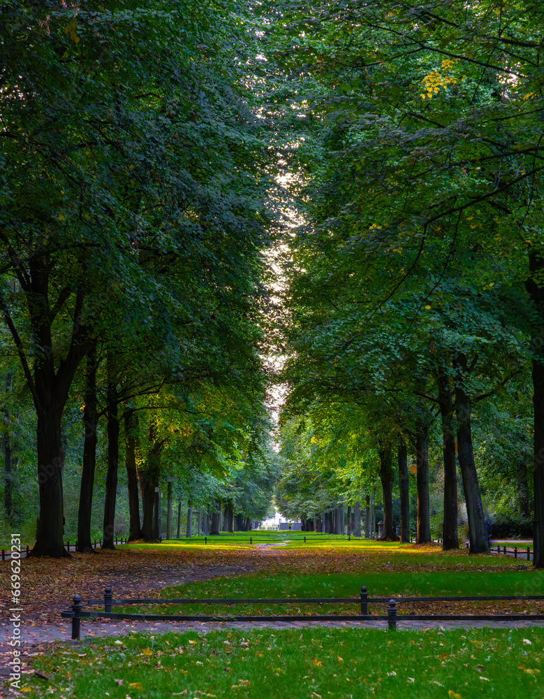 Obraz premium Alley in Tiergarten Berlin in October, Germany