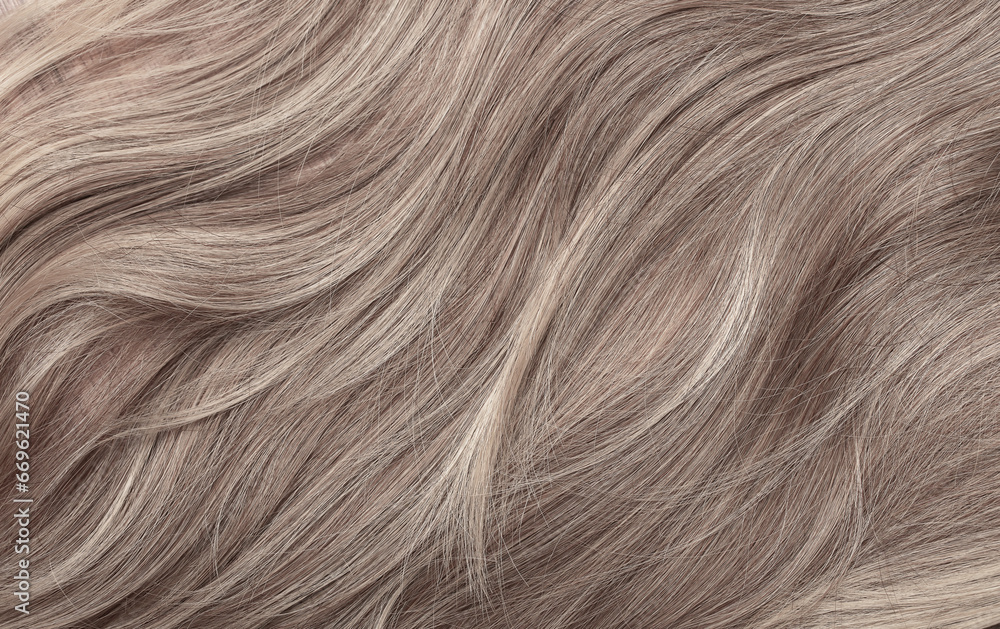 Naklejka premium Blond hair close-up as a background. Women's long light brown hair. Beautifully styled wavy shiny curls. Hair coloring. Hairdressing procedures, extension.