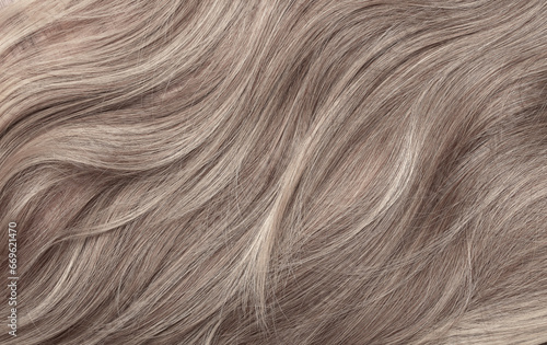 Blond hair close-up as a background. Women's long light brown hair. Beautifully styled wavy shiny curls. Hair coloring. Hairdressing procedures, extension.