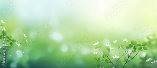 Blurred bokeh nature background with a beautiful green tint