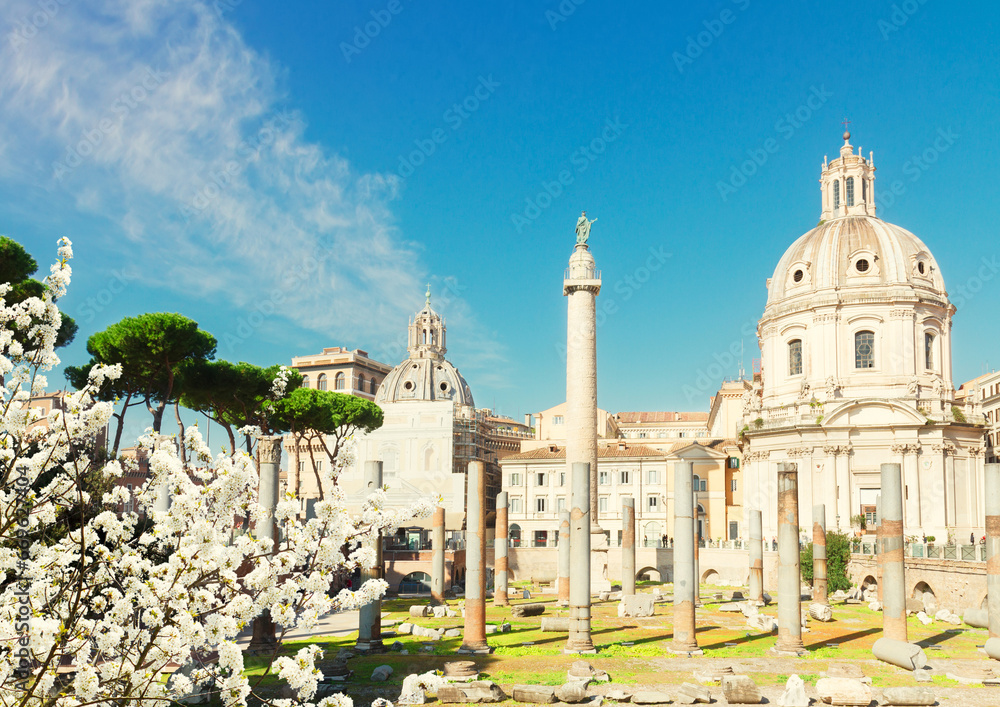 Forum - Roman ruins in Rome at s spring day, Italy