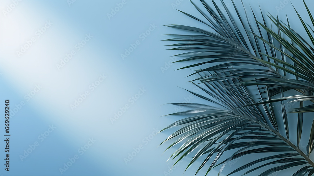 Blurred shadow from palm leaves on the blue wall Blurred shadow from palm leaves on the blue wall
