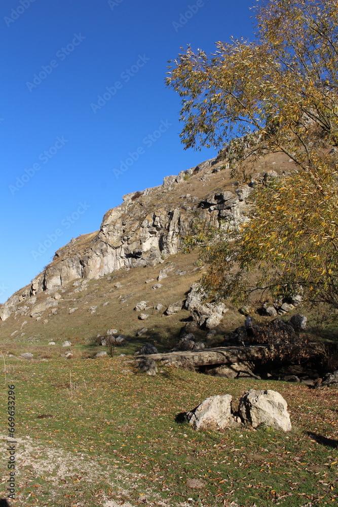 A rocky hill with a tree and a rock wall