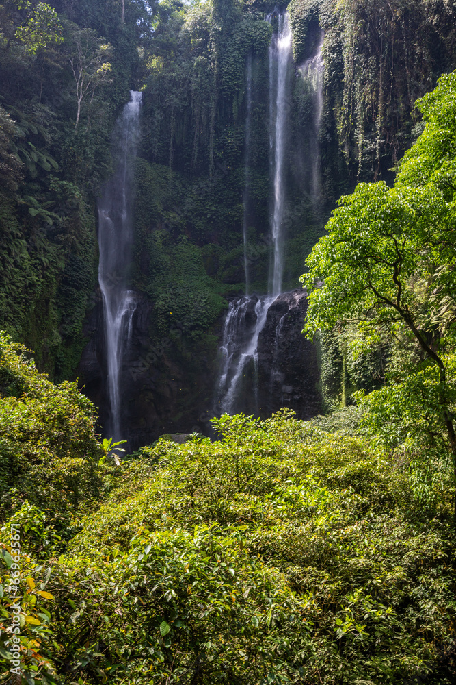The Sekumpul Waterfall, a large waterfall in the middle of the jungle that falls into a deep green gorge. Trees and tropical plants at Bali's highest waterfall. The Sekumpul Waterfall, a large waterfall in the middle of the jungle that falls into a deep green gorge. Trees and tropical plants at Bali's highest waterfall.