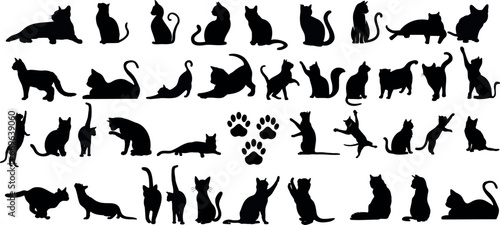 Cat Silhouettes Vector Illustration, perfect for Halloween, cat lovers. Features various cat poses, paw prints. Ideal for pet, animal, feline, domestic, house cat themes photo