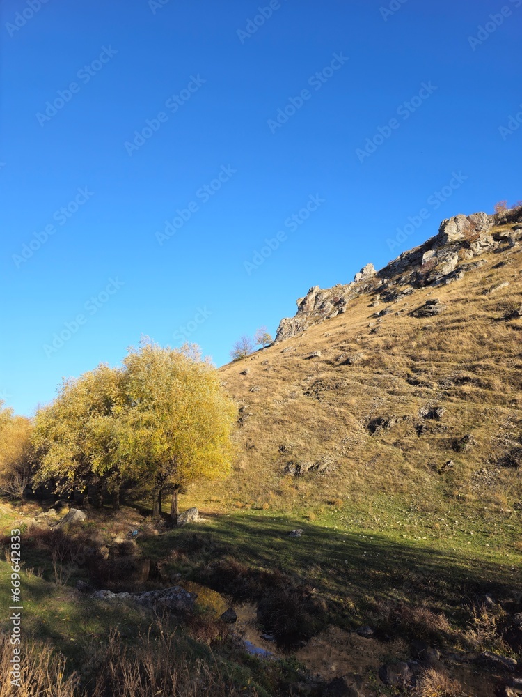 A grassy hill with trees and a blue sky