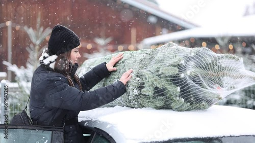 Beautiful woman trying to put a Christmas tree to the roof of the car to bring it home. Live fir tree delivery