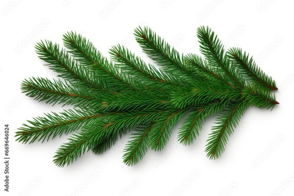 A Majestic Pine Branch Standing Proudly on a Blank Canvas Created With Generative AI Technology A Majestic Pine Branch Standing Proudly on a Blank Canvas Created With Generative AI Technology