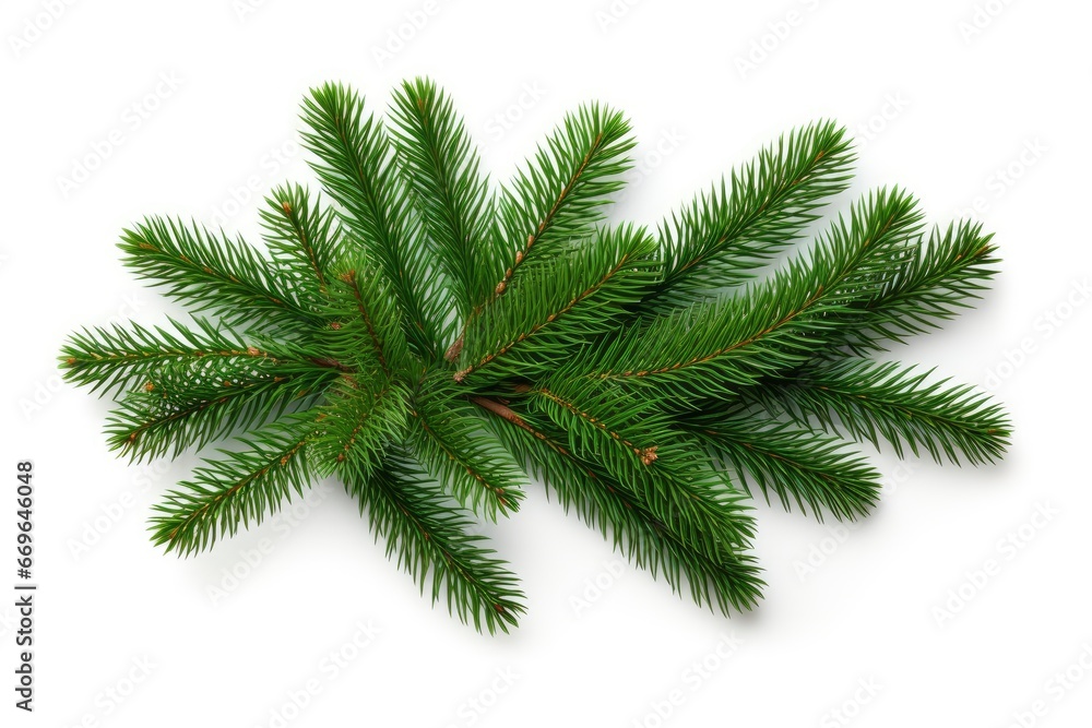 A Festive Pine Tree Branch Against a Clean White Background Created With Generative AI Technology A Festive Pine Tree Branch Against a Clean White Background Created With Generative AI Technology