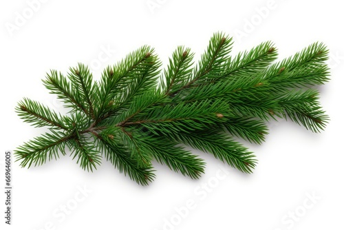 A Beautiful Pine Tree Branch on a Clean White Background Created With Generative AI Technology © Karlaage