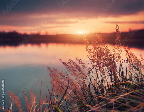 Dry autumn grass on the shore of the lake at sunset. Abstract nature background