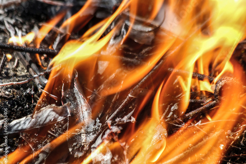 Detail of the flames of a forest fire seen from close up © Moises