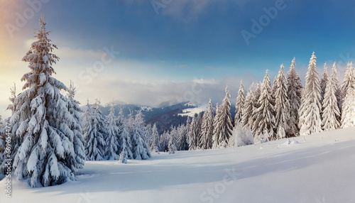 fabulous winter panorama of mountain forest with snow covered fir trees colorful outdoor scene happy new year celebration concept beauty of nature concept background © Emanuel