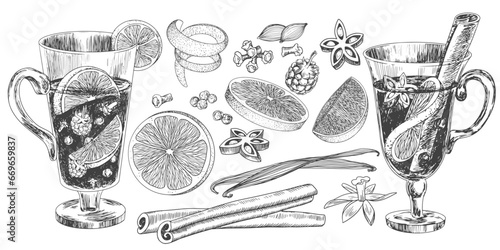 Engraving style glasses of mulled wine. Sketch style set of ingredients for mulled wine. Anise, cinnamon, orange, lime, cloves, raspberry. Black and white hand drawn illustration with winter drinks
