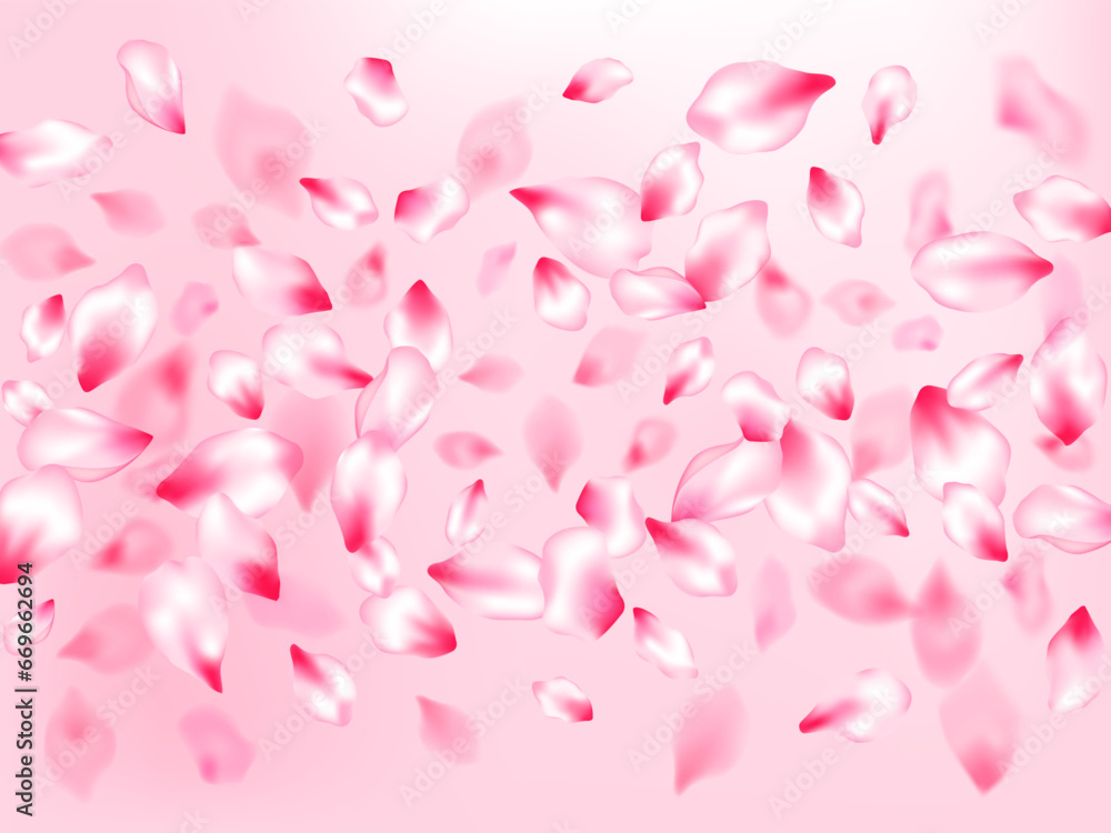 Pink cherry blossom petals isolated Pink cherry blossom petals isolated
