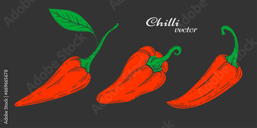 Hot Mexican pepper. Chili Pepper hand drawing .Set of paprika . Vegetables. Vector illustration . photo