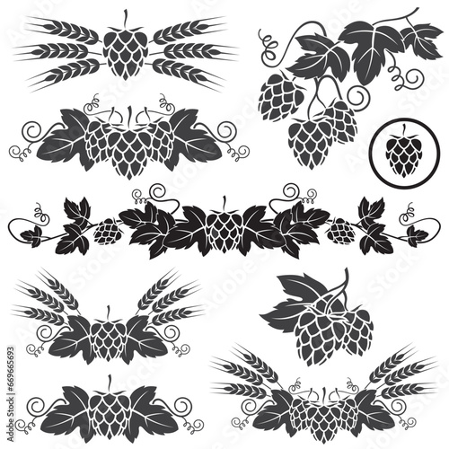 collection of hops for brewing isolated on white background