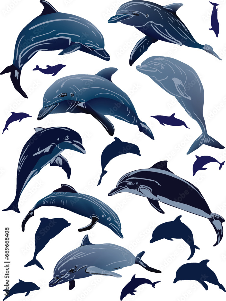 Obraz premium nineteen grey dolphins isolated on white