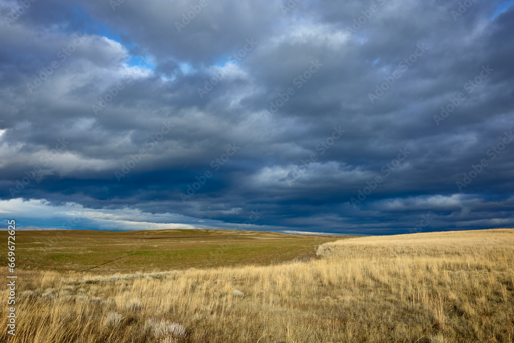 Yellow grass field under dramatic sky in Eastern Oregon in summer.