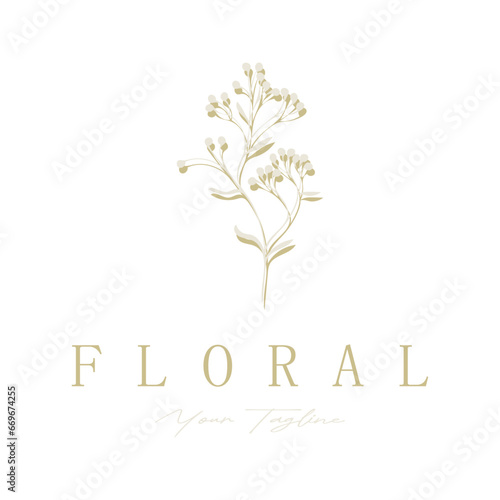 Elegant floral and leaf frame. Delicate botanical vector illustration for labels, spas, corporate identity, and wedding invitations