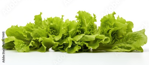 White background with lettuce