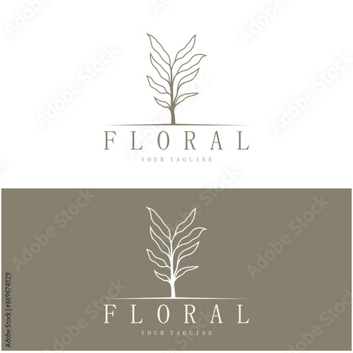 Elegant floral and leaf frame. Delicate botanical vector illustration for labels, spas, corporate identity, and wedding invitations