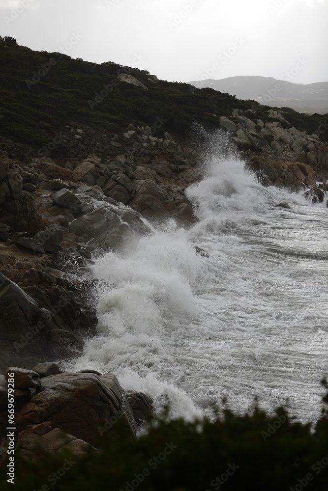 Fototapeta premium mare in tempesta