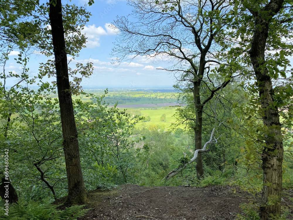Naklejka premium A view of the Cheshire Countryside at Peckforton