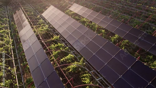 Vineyards Solar panels aerial shot at sunset rotating 