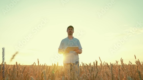 Farmer, businessman working on field with digital tablet, agriculture. Farmer with computer tablet evaluates wheat sprouts in field, sunset. Ecologically clean grain. Technology, agriculture business