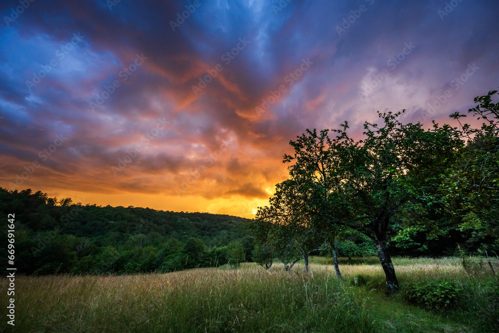 Colorful Sunset over farmland - Orchard and Grass meadow - Slovenia Copy Space background