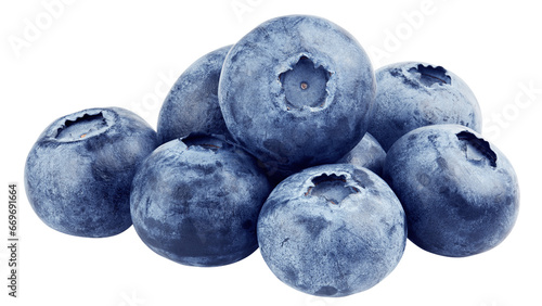 Blueberry isolated on white background, full depth of field