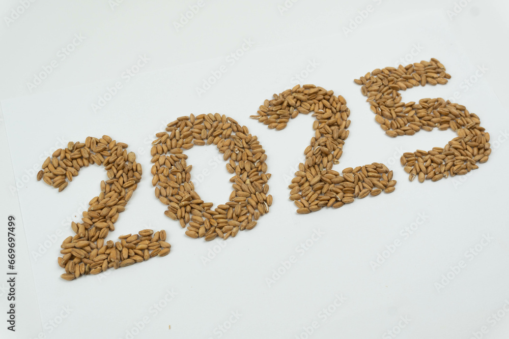 Year 2025 made with wheat grain. Diagonal. Year 2025 made with wheat grain. Diagonal.