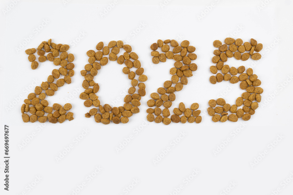 Year 2025 with granule dog food on white background Year 2025 with granule dog food on white background