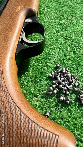 Photography Detail of a shotgun and buckshot on a green background