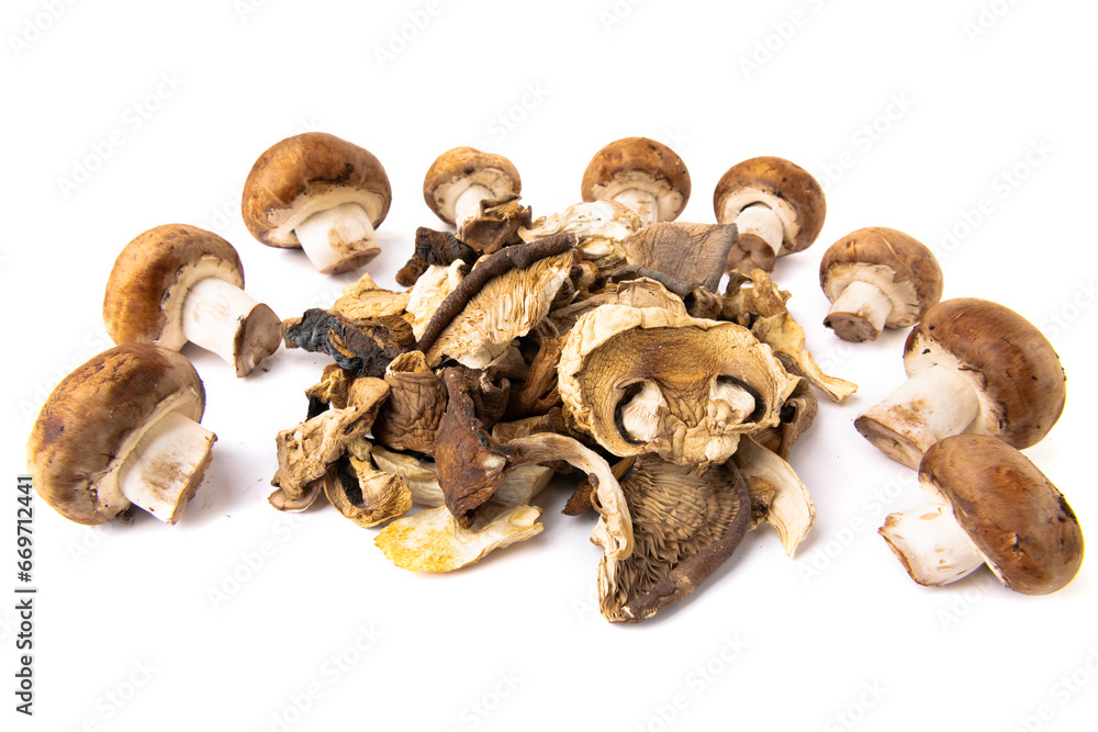 Fototapeta premium Assorted edible dried mushrooms isolated on white background.