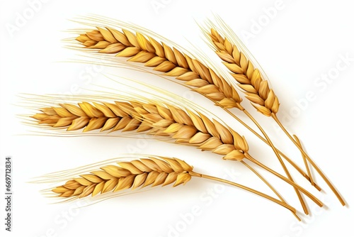 Illustration of wheat ears isolated on white background. Generative AI