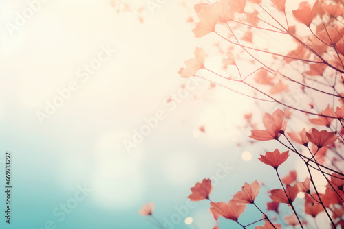 delicate texture of orange and blue colors. flowers in the meadow with background blur and bokeh. place for text