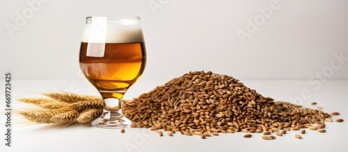 Photographie Combine grain malt in tun for mashing during home brew to make craft beer