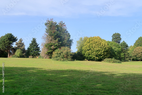 A beautiful sunny woodland scene in the Sidcup countryside