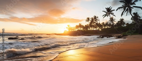 A beautiful beach with coconuts trees at sunset © DZMITRY