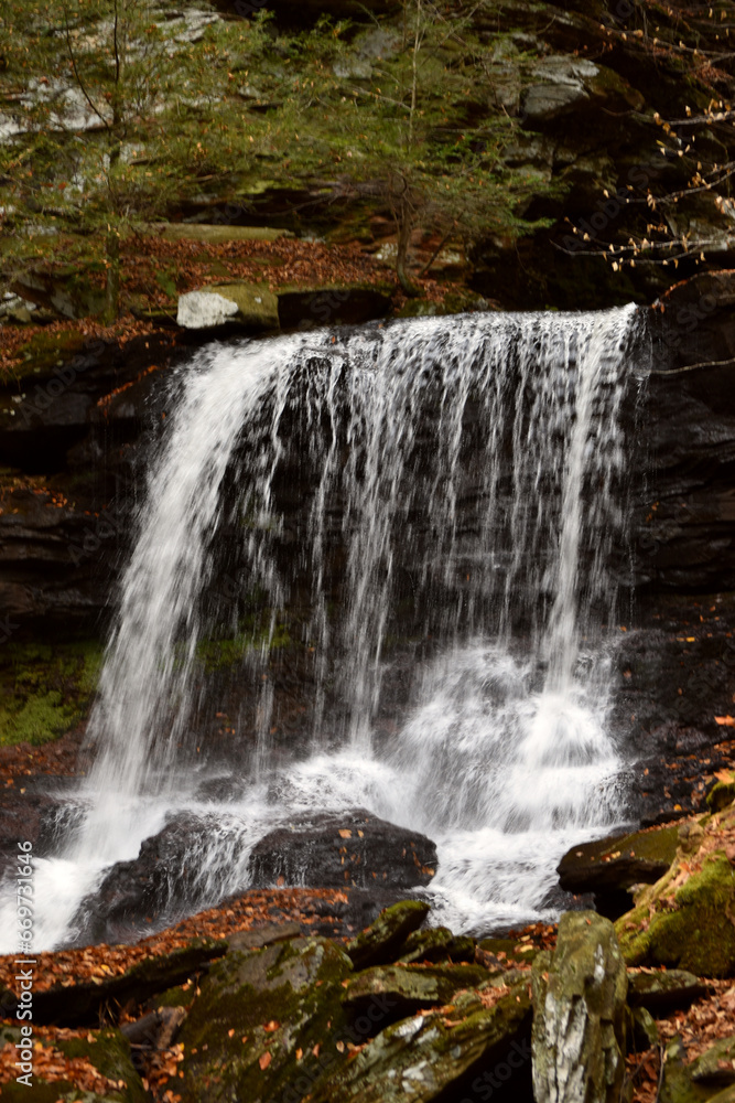 Fototapeta premium waterfall in the forest