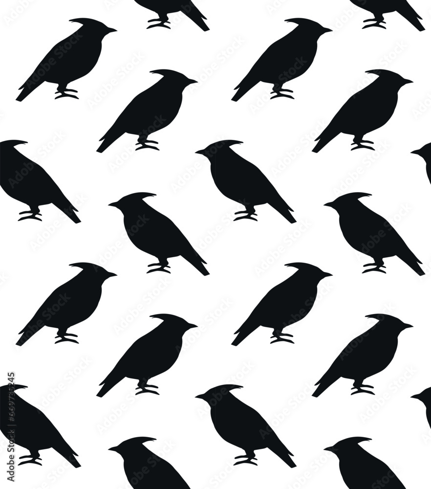 Fototapeta premium Vector seamless pattern of hand drawn waxwing bird silhouette isolated on white background