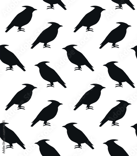 Vector seamless pattern of hand drawn waxwing bird silhouette isolated on white background photo