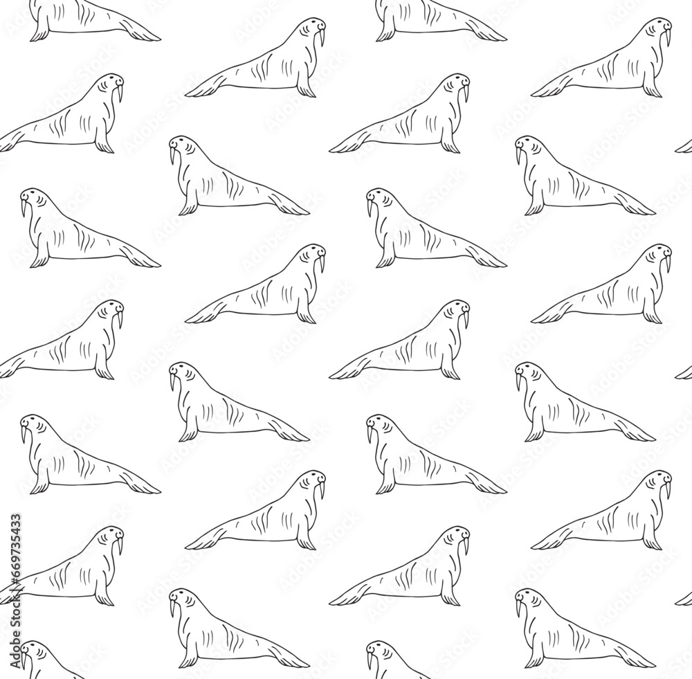 Obraz premium Vector seamless pattern of hand drawn doodle sketch walrus isolated on white background
