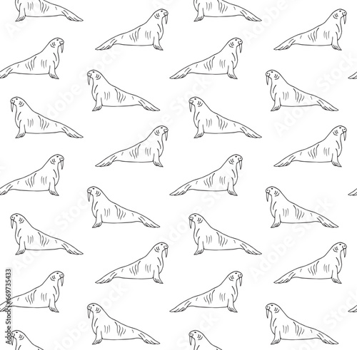 Vector seamless pattern of hand drawn doodle sketch walrus isolated on white background