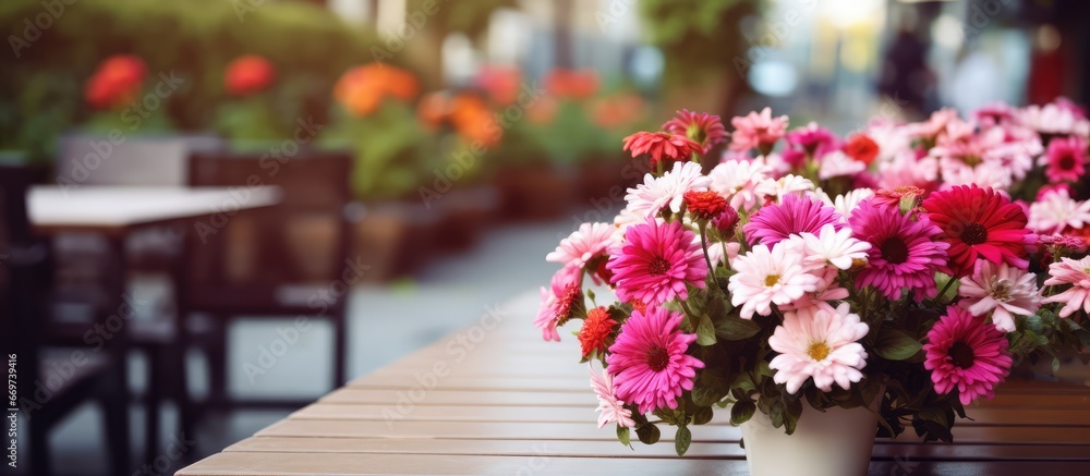 Patio cafe with blurred flowers in foreground and one central pink flower