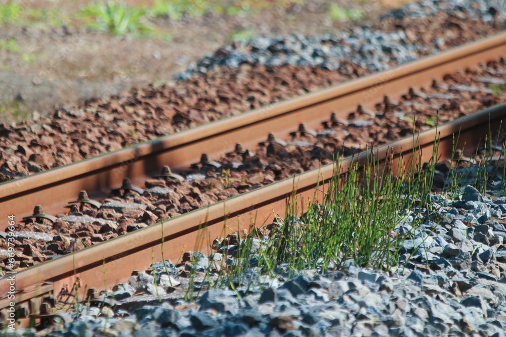 Naklejka premium 線路