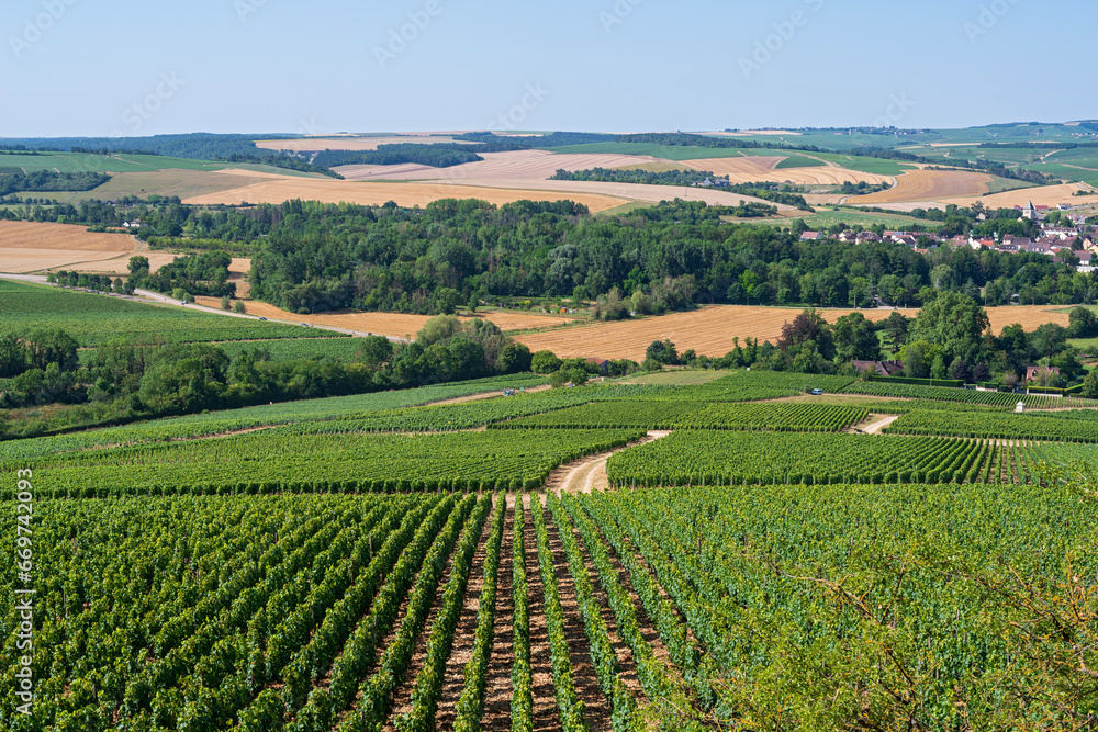 overlooking vineyards and town of chablis in valley with cultivated fields in distance 